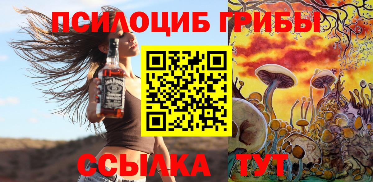 Орехово-Зуево  Псилоцибиновые грибы прущие грибы  Вход с VPN 